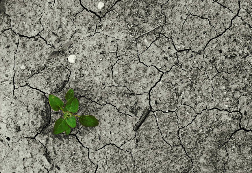 La limpieza de suelos contaminados: una responsabilidad de todos. Por María Emilia Adán